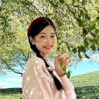 燕子与鹦鹉